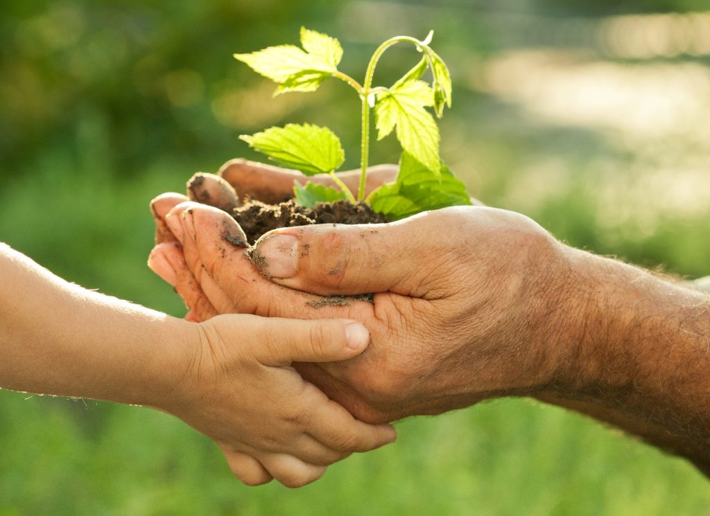 Kind en volwassene houden samen een jonge plant vast. Beeld van groei, rentmeesterschap, zorg voor Gods schepping en verantwoordelijkheid voor toekomstige generaties.